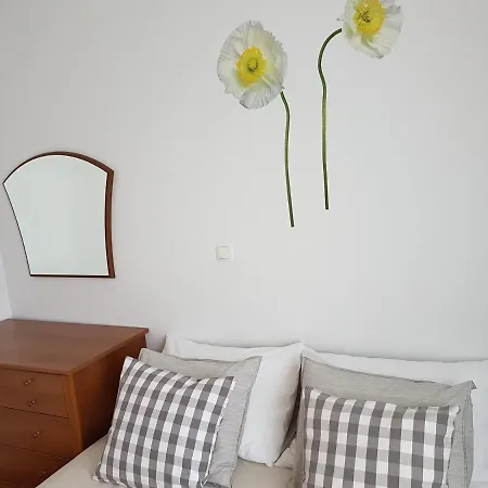 Roko Apartman Zadar