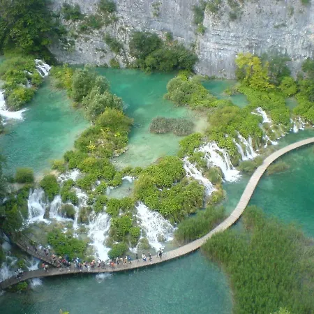 Roko * Zadar